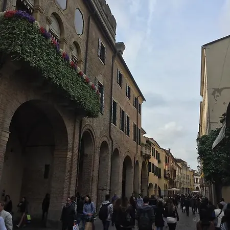 Dolly Padova